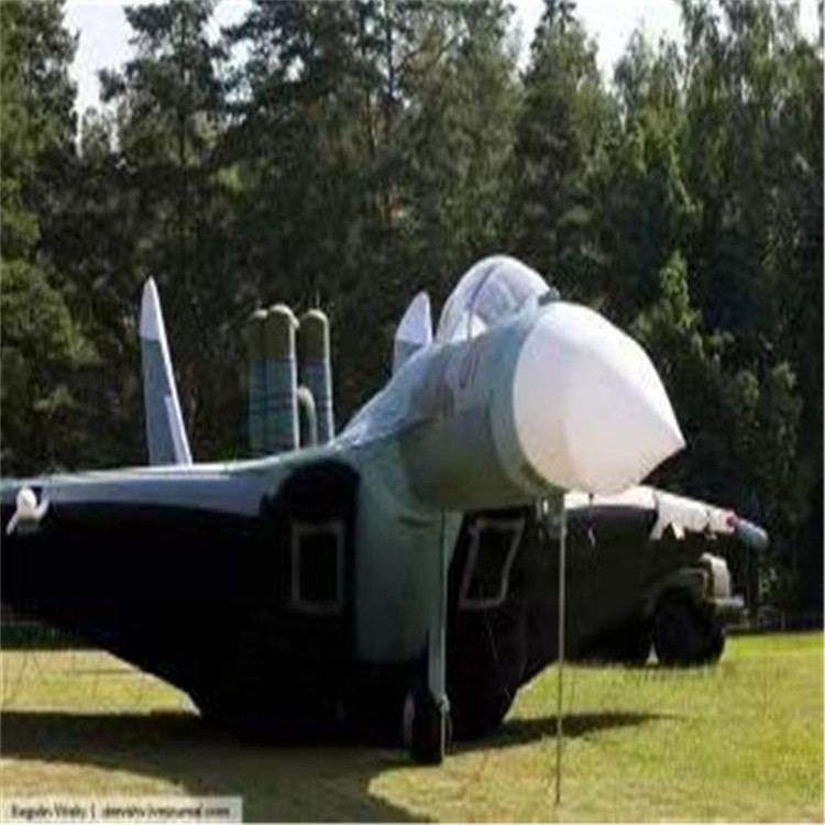 雨山充气模型飞机制造商家